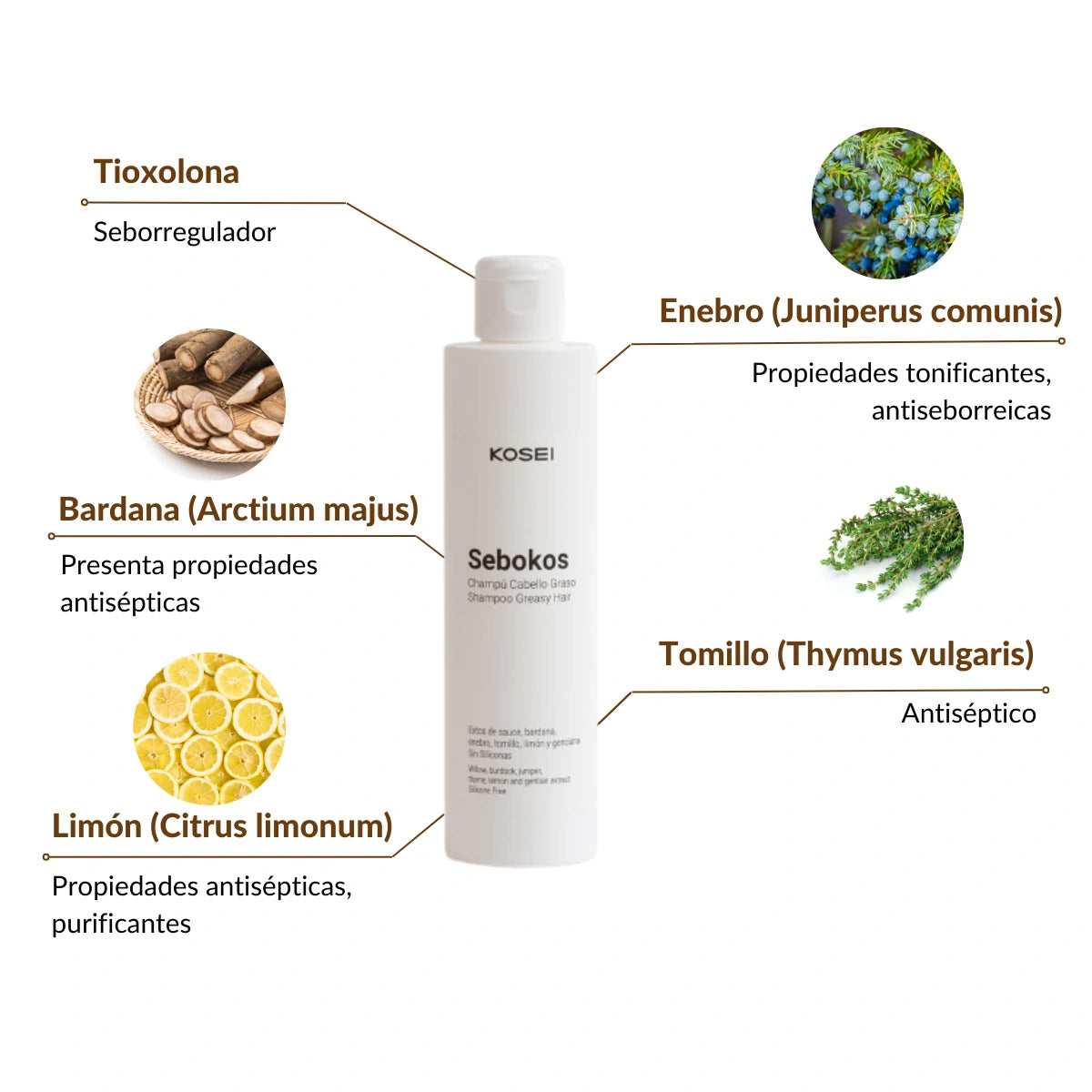 PDRN-HA Serum Facial Antiarrugas