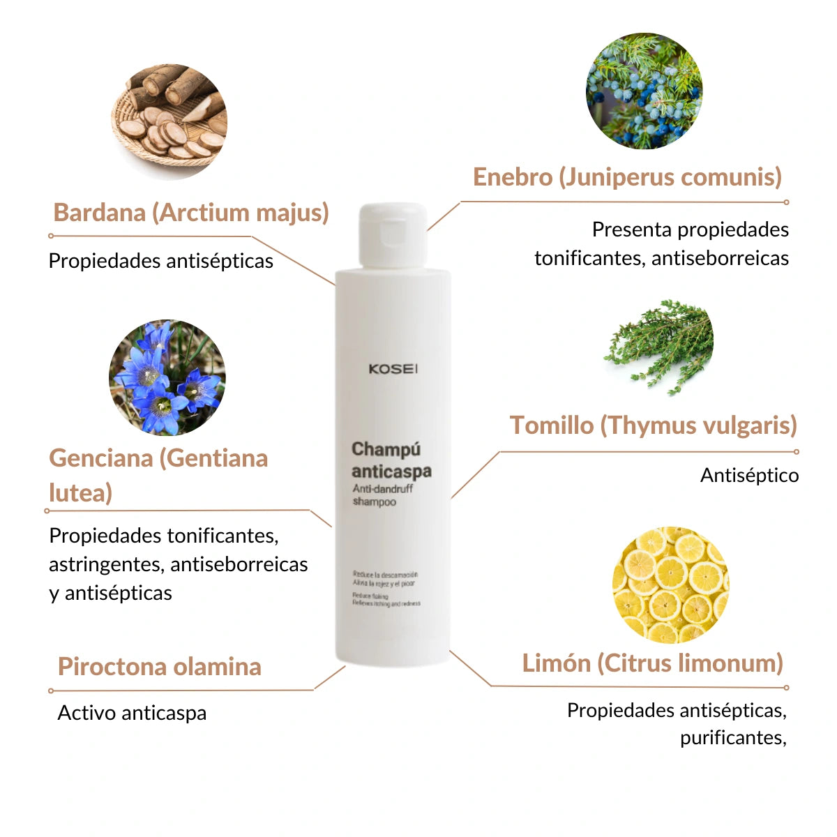 PDRN-HA Serum Facial Antiarrugas